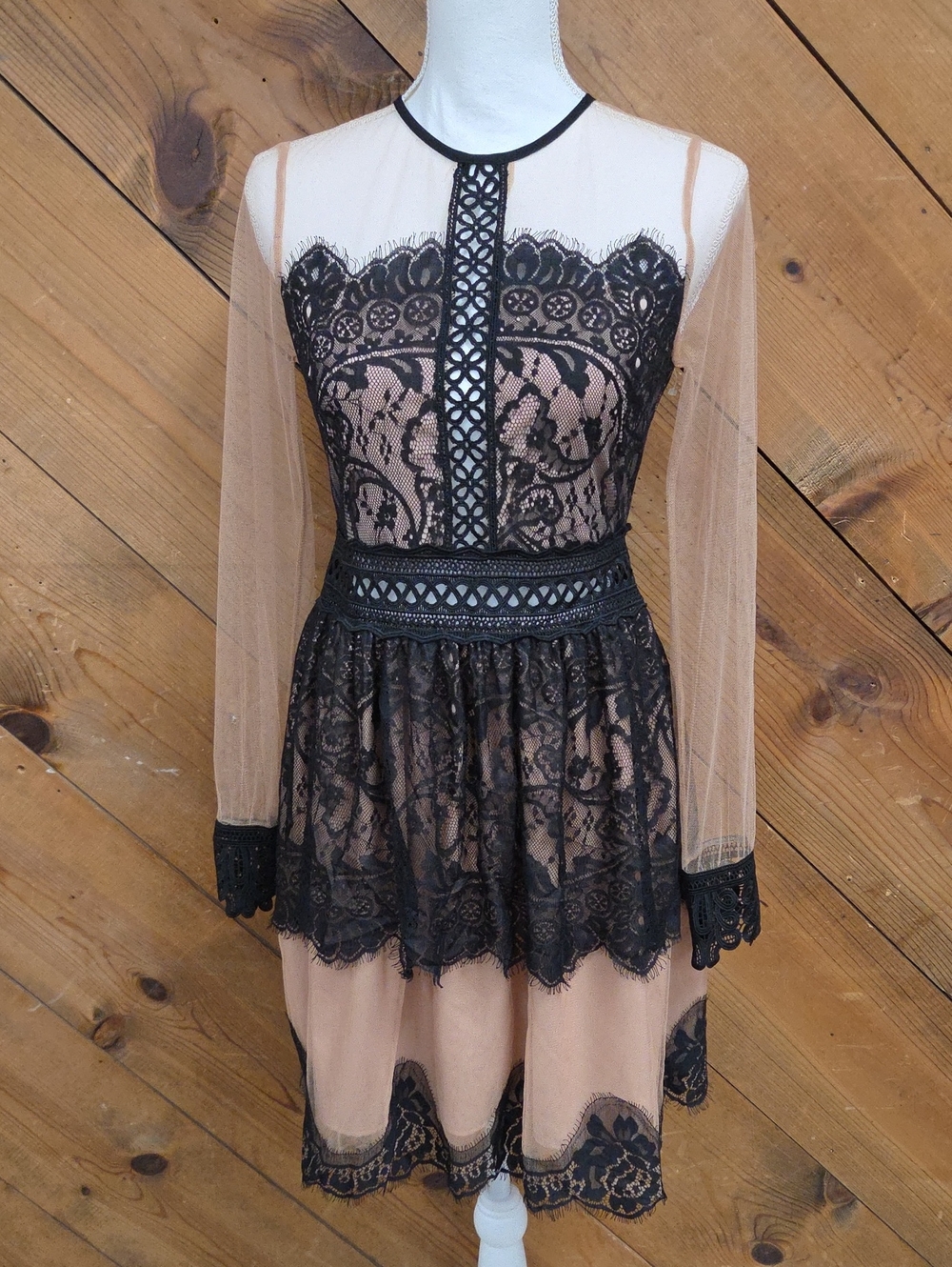 Endless Rose Black Lace Overlay Dress with Nude Underlay Whimsigoth, Witchy